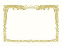 TTK ܏p Pg B4 cp 100 10-5037