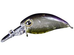 �W���b�J�� TM ���уp�j�N�� SR �_�C�S�}�W���O���[