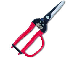 AXR[|[V ؉ЍL K[ht 300LW-G-BP