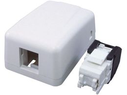 R[jO/Cat6 RJ45W[WbNIo^AEgbgZbg