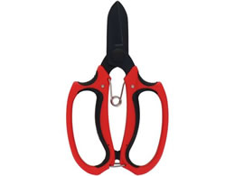 �O���R�[�|���[�V���� �t�b�f�R�[�e�B���O �Ԃ͂���