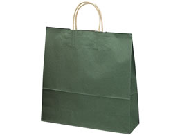 �^�J�� ��񂰃o�b�O �G�������h �� 10�� 50-6208