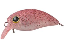 WbJ TM уpjN SR #V{Nbhu[