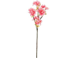 YDM ���� �J�ԍ� �_�[�N�s���N