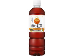 ATq a̍gACXeB[ 500mL