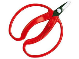 AXR[|[V ݂̎ 咼 ܓ 400