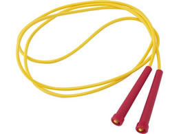 �G�o�j���[ �g�r�i�� 21 EKD345