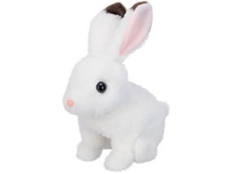 ���݂݃p�^�p�^�����������b�L�[