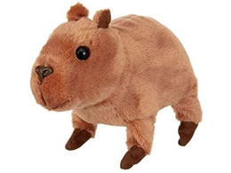 �@�s�N �J�s�o�� �R�J�b�s�[