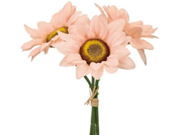 ������ �~�j�T���t�����[�s�b�N �s�[�`�s���N #2 PE PK FM004009-002