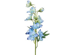 ������ �T�U���f���t�B�j�E�� ���C�g�u���[ #5 LTBL FM002074-005