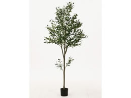 sf tFCNO[ I[u 180cm WCg 41122