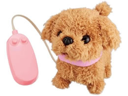 �����R���ł�����ۃL�����L�����g�C�v�[