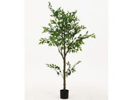 sf tFCNO[ tBJX 160cm WCg 41123