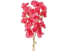 ������ �W���f�B�X�C�g�s�[�o���h�� ���C�g���b�h #3 LTRED