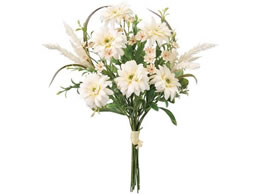 ������ �K�[�x���p���p�X�u�[�P �N���[�� #37 CREAM