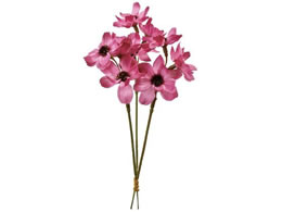 ������ �R�X���X�s�b�N 3�{ �I�[�L�b�h #12 ORCHID FM004215-012