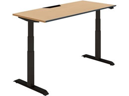 RN fXN V[NGX \tg Fo[ W1550 i`I[N