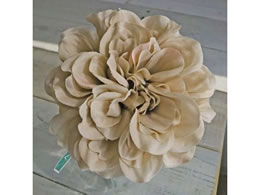  vC_AsbN #13 ANT.BE FM000414[013