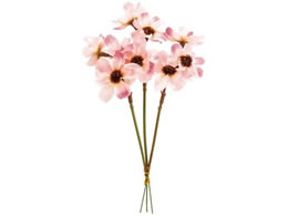  RXXsbN #50 LL PK 3{ FM004215-050