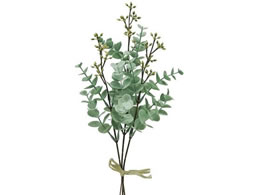  PCeB[Joh SIL.GR FG002602-015