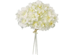 YDM ���� ���A�[�h�n�C�h�����W�A�o���h�� �N���[��