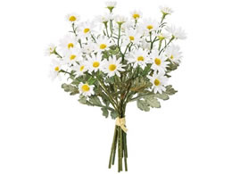 ������ ���� �n�~���O�f�[�W�[�o���h�� �z���C�g #1 WHITE