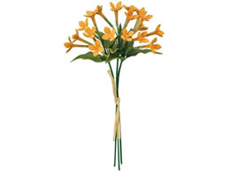 ������ ���� �T�����[�u�o���A�u�[�P ���C�g�I�����W #9 LTOR