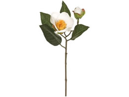 ������ ���t�� #1 WHITE FJ005168-001