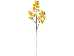 ������ ���� ���i�I�[�L�b�h �C�G���[ #4 YELLOW