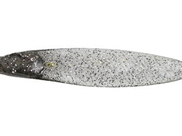 issei CA~m[tbgTJiTJi 3.8 #06 xr[VCi[(t)