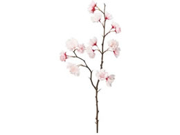 ������ ���� ReCO ���d�����} �s���N PINK