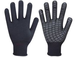 ����/�o�[�W�����A�b�v�z�����