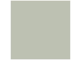 X}[go[ PF肪 Vo[O[ 100 B260J-36