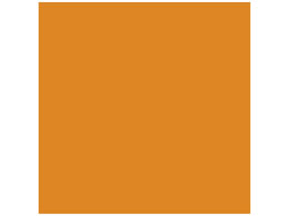 X}[go[ PF肪 ݂ 100 B260J-46