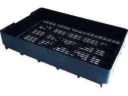 rose �V�X�e���{�[�h SB-A