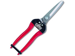 AXR[|[V ؉ ЍLXe 300LW-DX-BP