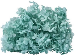  vU[uht[ \tgAix yp[~g