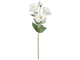   }AVATX #1 WHITE zCg