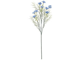  ~ubTXv[ #5 BLUE u[