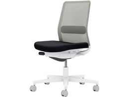 RN lbg IȂ wʐF ubN^CgO[