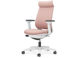 RN ~g2 bV AfBViI r{̔AbVsN