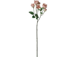 YDM  RtH[g~jK[f[Y x[W