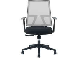 SEKI Vbg`FA It O[ 419645