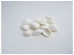 H| zCgVF120g NO.053^165-1108-0