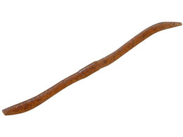 WbJ tbNVFCNTCg}WbN3.8 2g[ #SKLfB[