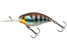 WbJ ubNbp[48SR #ERz`M