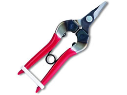 AXR[|[V c Ȑn 310-D-K-BP