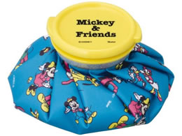 XP[^[ ACXobO S ~bL[&tY  ICB1