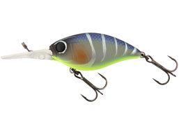 WbJ ubNbp[48SR #oo^N݃N[